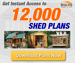 Example Shed Design 3